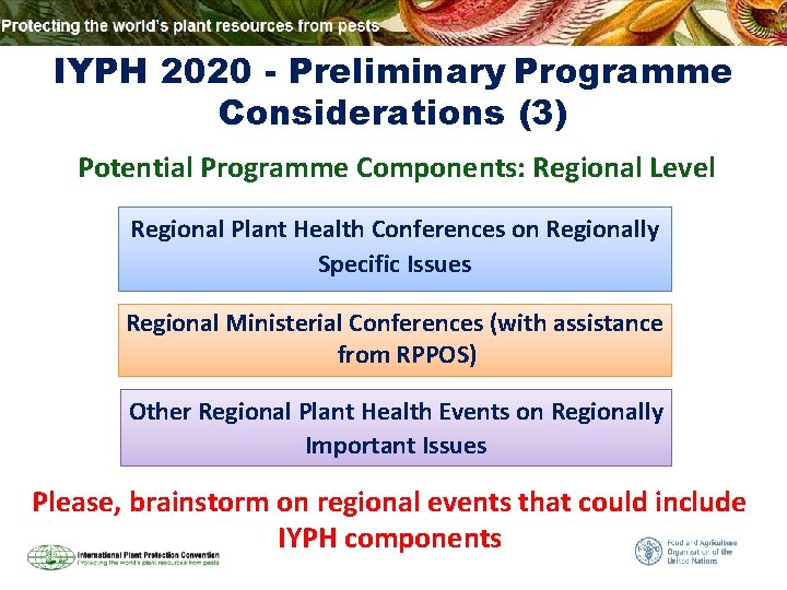 IYPH 2020 - Preliminary Programme Considerations (3) Potential Programme Components: Regional Level Regional Plant