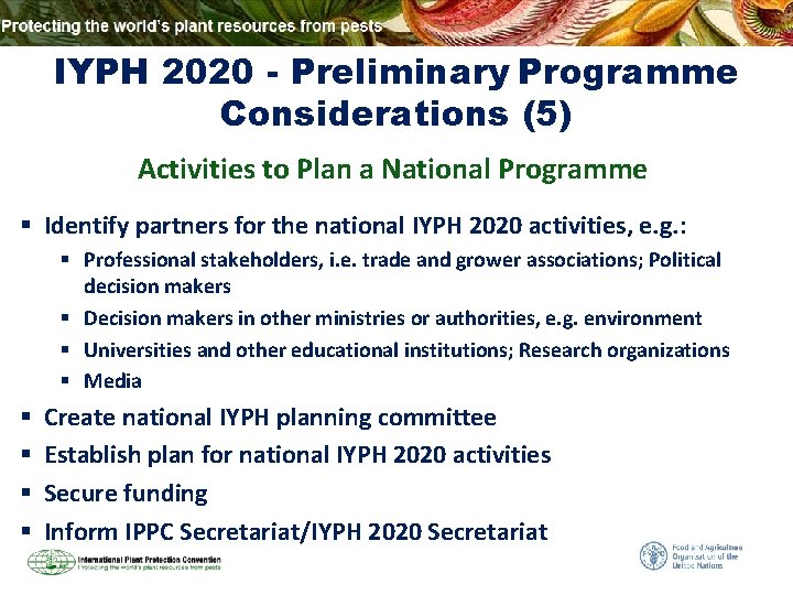 IYPH 2020 - Preliminary Programme Considerations (5) Activities to Plan a National Programme §