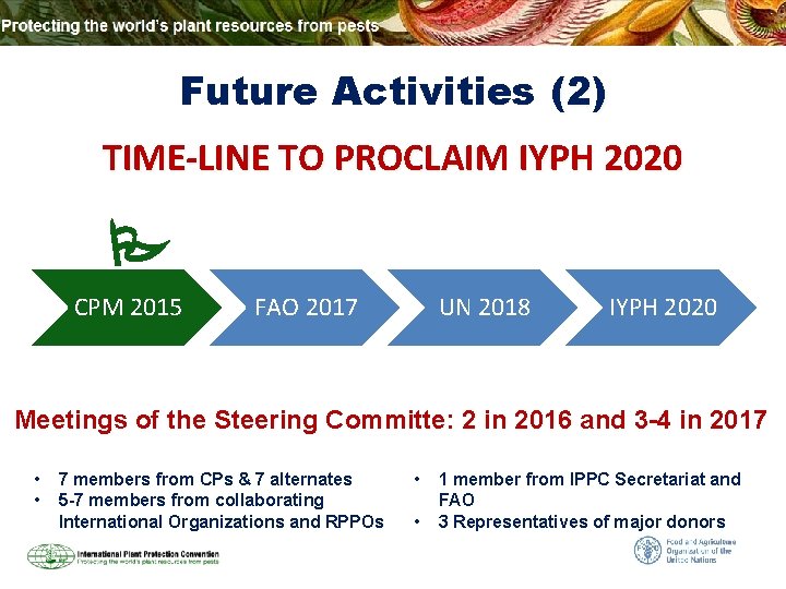 Future Activities (2) TIME-LINE TO PROCLAIM IYPH 2020 CPM 2015 FAO 2017 UN 2018