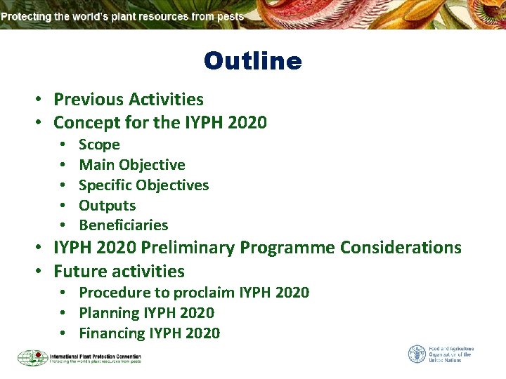 Outline • Previous Activities • Concept for the IYPH 2020 • • • Scope
