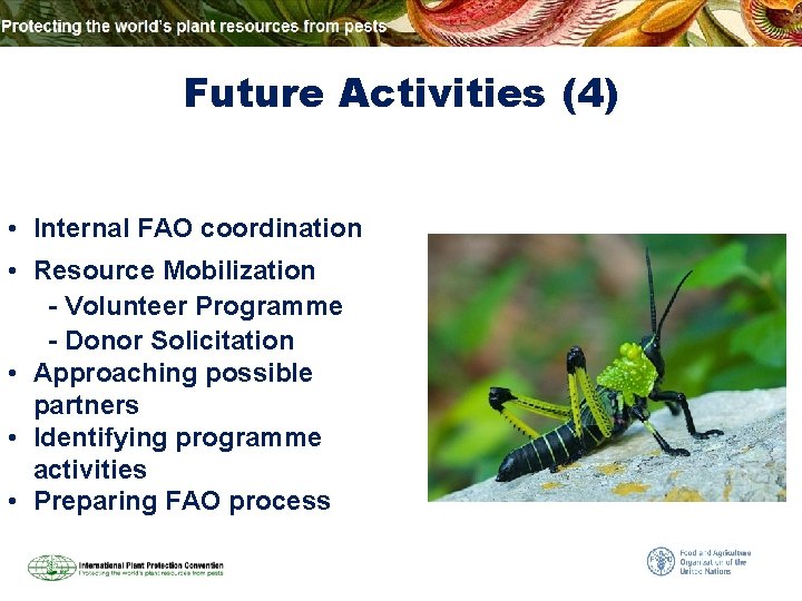 Future Activities (4) • Internal FAO coordination • Resource Mobilization - Volunteer Programme -