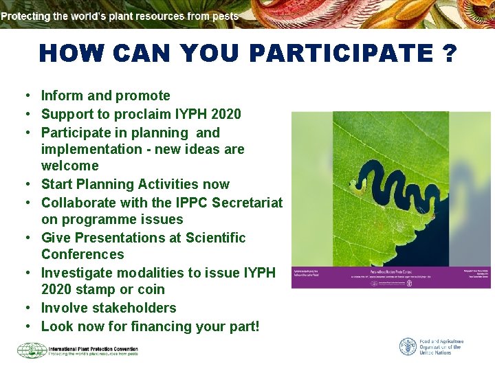 HOW CAN YOU PARTICIPATE ? • Inform and promote • Support to proclaim IYPH