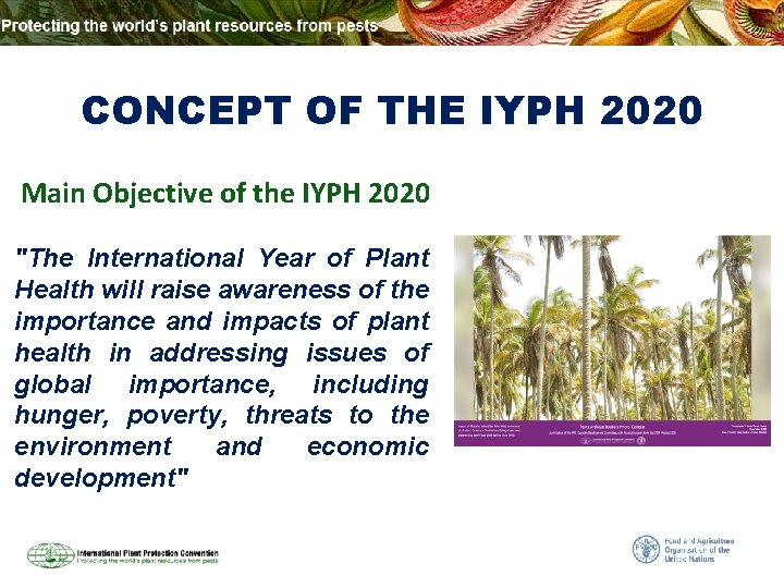 CONCEPT OF THE IYPH 2020 Main Objective of the IYPH 2020 "The International Year