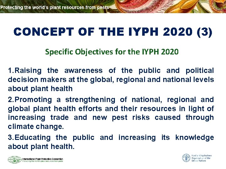 CONCEPT OF THE IYPH 2020 (3) Specific Objectives for the IYPH 2020 1. Raising