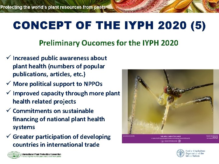 CONCEPT OF THE IYPH 2020 (5) Preliminary Oucomes for the IYPH 2020 ü Increased