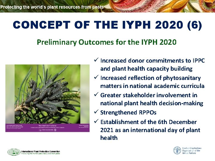 CONCEPT OF THE IYPH 2020 (6) Preliminary Outcomes for the IYPH 2020 ü Increased