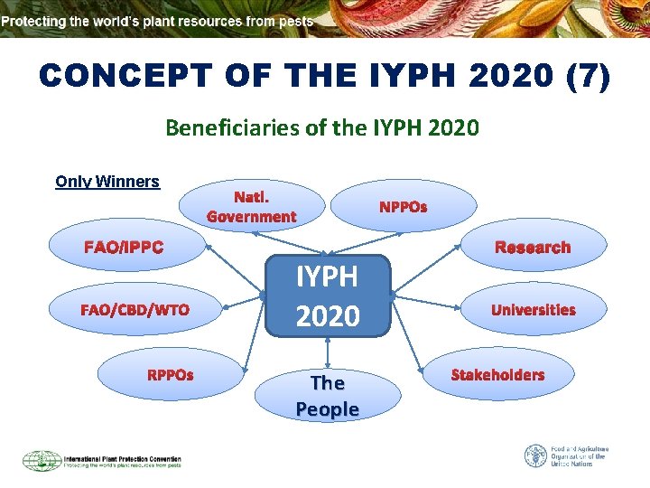 CONCEPT OF THE IYPH 2020 (7) Beneficiaries of the IYPH 2020 Only Winners Natl.