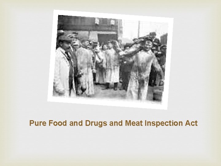 Pure Food and Drugs and Meat Inspection Act 