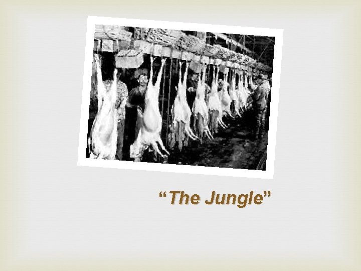 “The Jungle” 