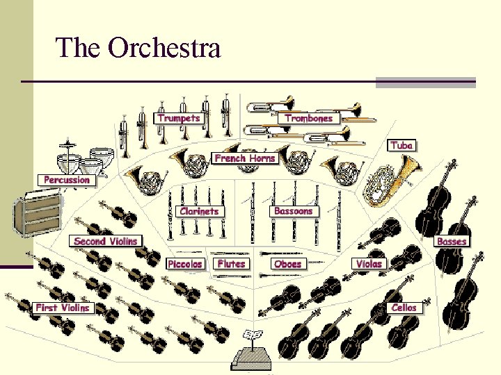 The Orchestra 