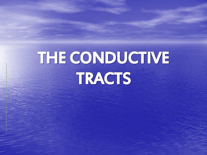 THE CONDUCTIVE TRACTS 