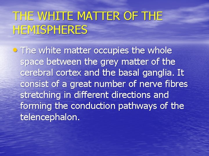 THE WHITE MATTER OF THE HEMISPHERES • The white matter occupies the whole space