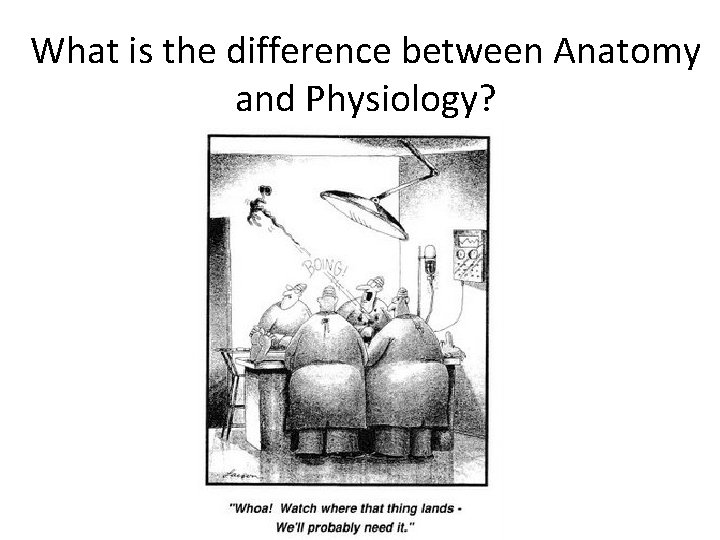 What is the difference between Anatomy and Physiology? 