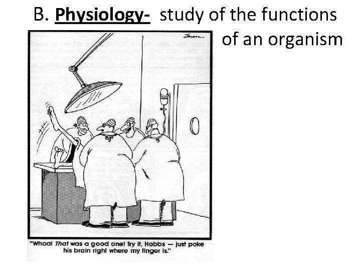 B. Physiology- study of the functions of an organism 