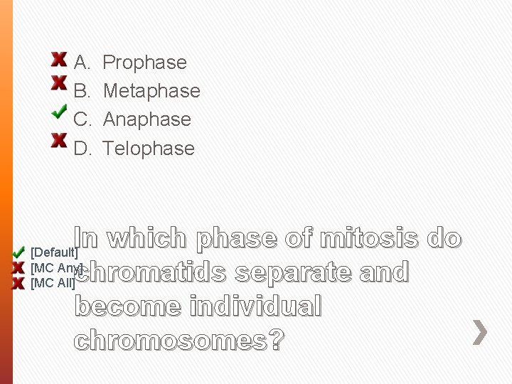 A. B. C. D. Prophase Metaphase Anaphase Telophase In which phase of mitosis do