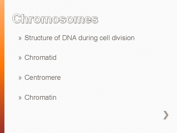 Chromosomes » Structure of DNA during cell division » Chromatid » Centromere » Chromatin