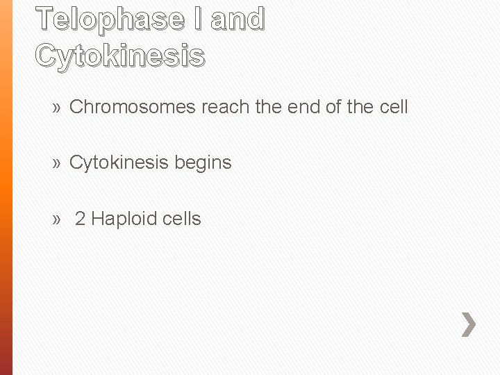Telophase I and Cytokinesis » Chromosomes reach the end of the cell » Cytokinesis