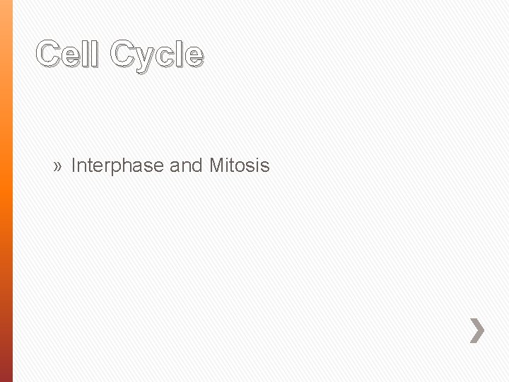 Cell Cycle » Interphase and Mitosis 