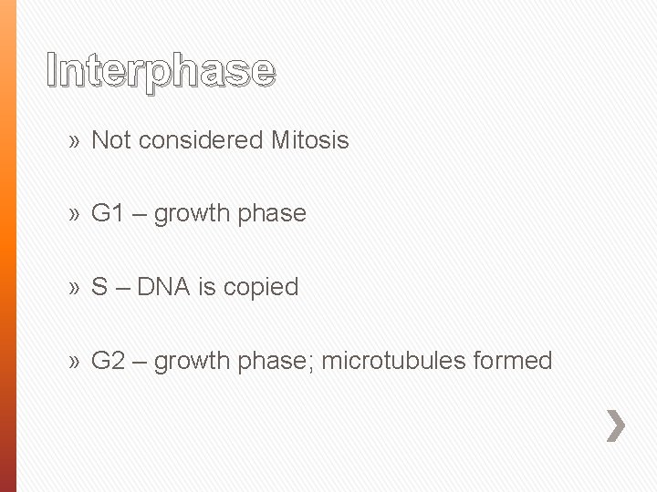 Interphase » Not considered Mitosis » G 1 – growth phase » S –