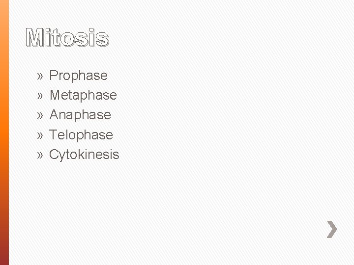 Mitosis » » » Prophase Metaphase Anaphase Telophase Cytokinesis 