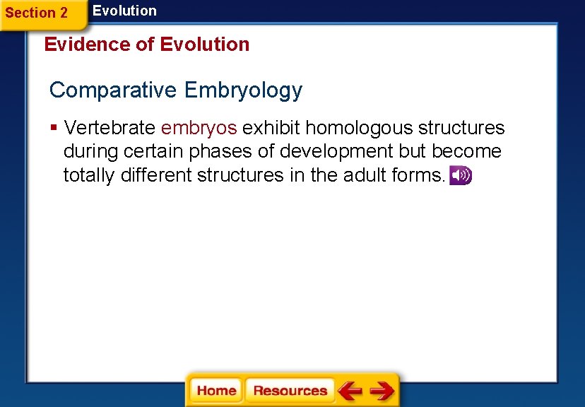 Section 2 Evolution Evidence of Evolution Comparative Embryology § Vertebrate embryos exhibit homologous structures Section 2 Evolution Evidence of Evolution Comparative Embryology § Vertebrate embryos exhibit homologous structures