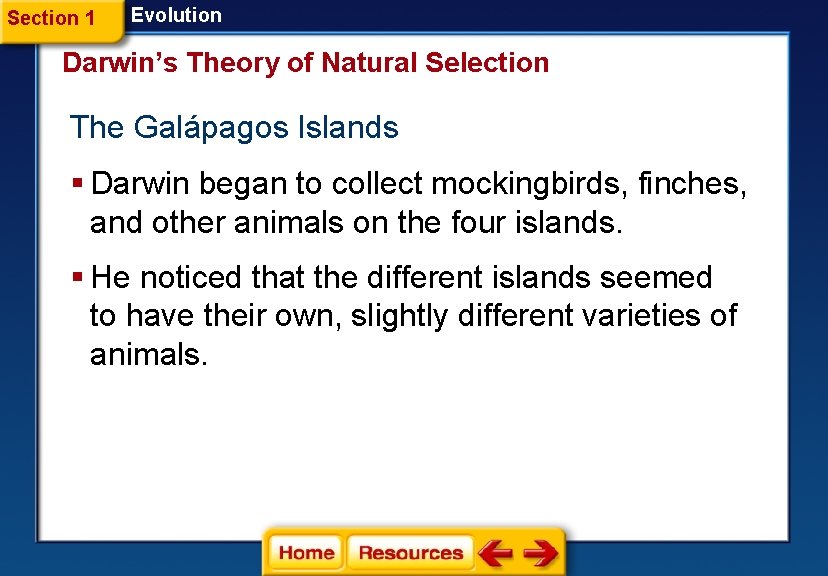 Section 1 Evolution Darwin’s Theory of Natural Selection The Galápagos Islands § Darwin began Section 1 Evolution Darwin’s Theory of Natural Selection The Galápagos Islands § Darwin began