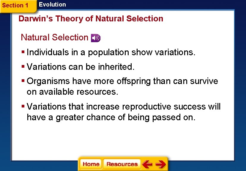 Section 1 Evolution Darwin’s Theory of Natural Selection § Individuals in a population show Section 1 Evolution Darwin’s Theory of Natural Selection § Individuals in a population show