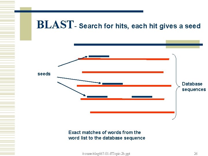BLAST- Search for hits, each hit gives a seeds Database sequences Exact matches of