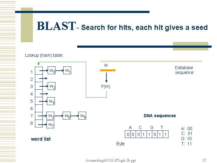 BLAST- Search for hits, each hit gives a seed Lookup (hash) table: 1 w