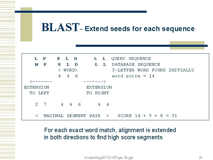 BLAST- Extend seeds for each sequence L M P P <------EXTENSION TO LEFT S
