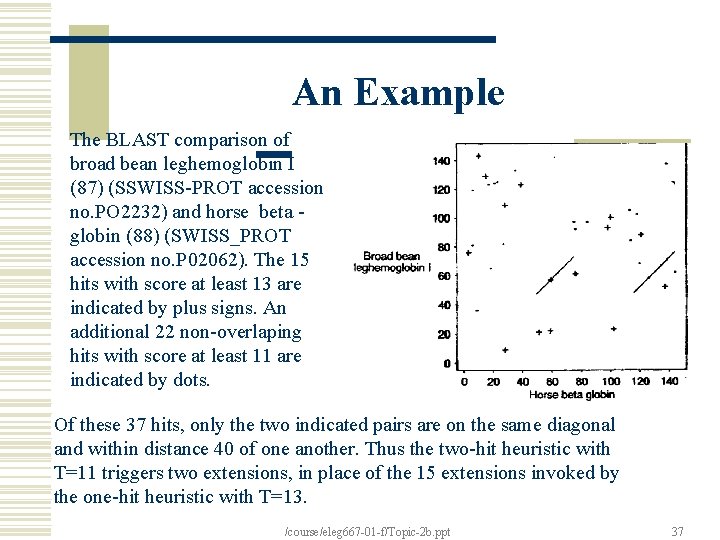 An Example The BLAST comparison of broad bean leghemoglobin I (87) (SSWISS-PROT accession no.