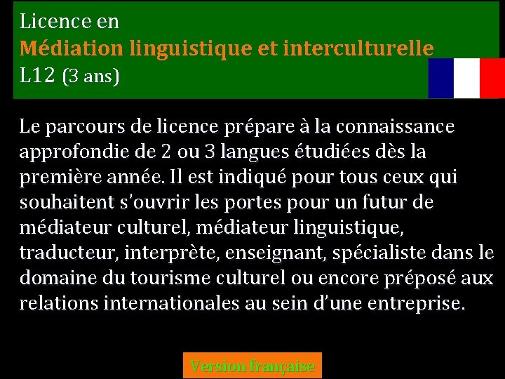 Licence en Médiation linguistique et interculturelle L 12 (3 ans) Le parcours de licence