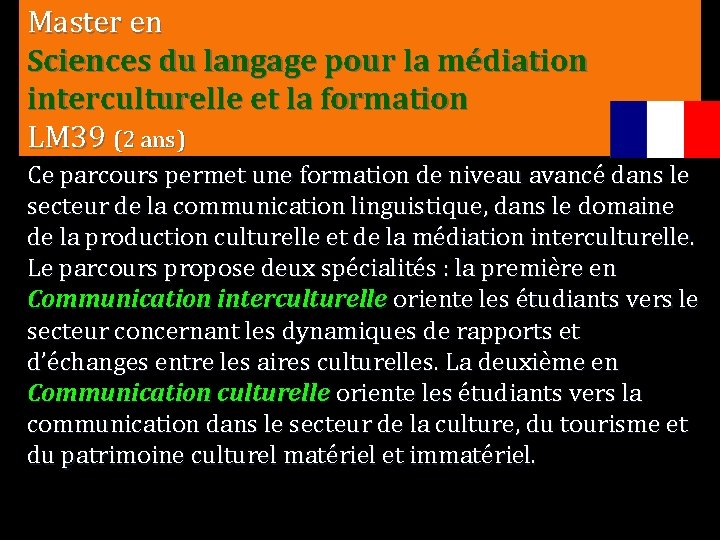 Master en Sciences du langage pour la médiation interculturelle et la formation LM 39