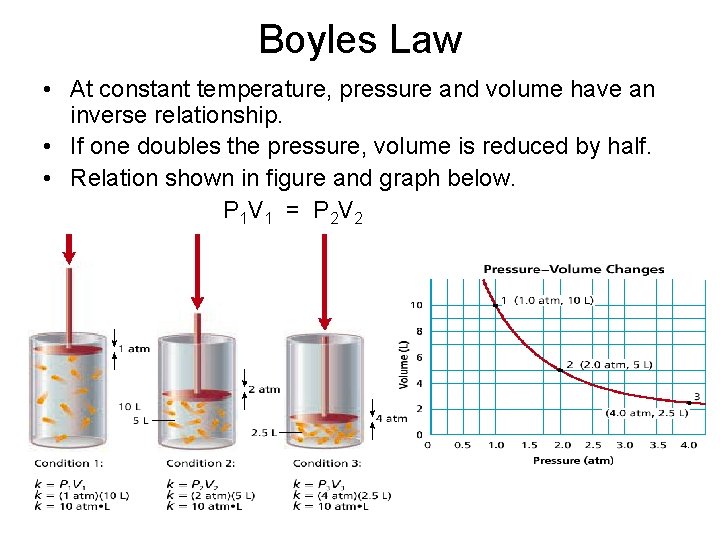 Boyles Law • At constant temperature, pressure and volume have an inverse relationship. •