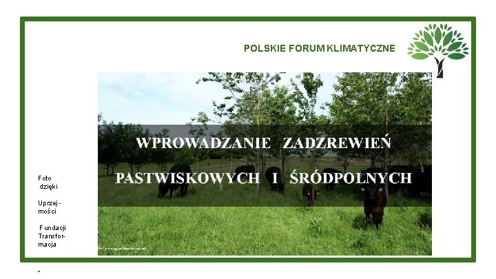 POLSKIE FORUM KLIMATYCZNE Foto dzięki Uprzej mości Fundacji Transformacja „ 