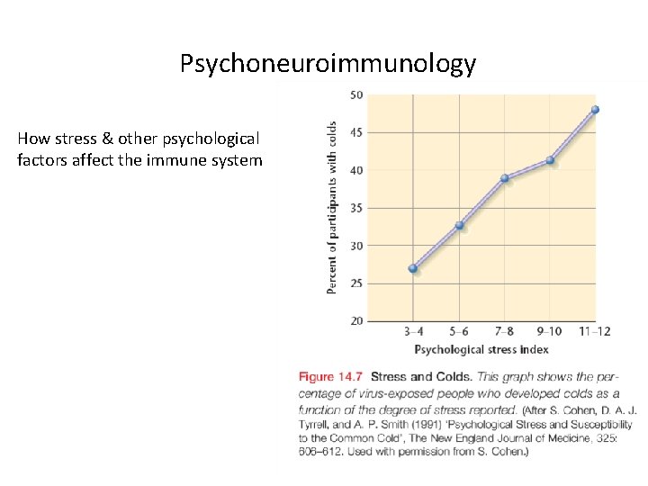 Psychoneuroimmunology How stress & other psychological factors affect the immune system 