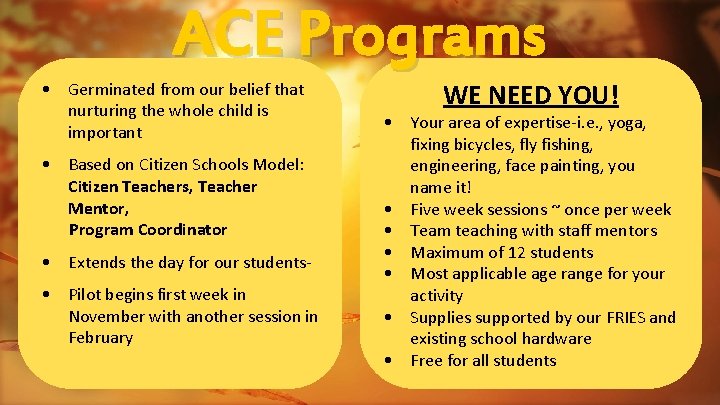 ACE Programs • Germinated from our belief that nurturing the whole child is important