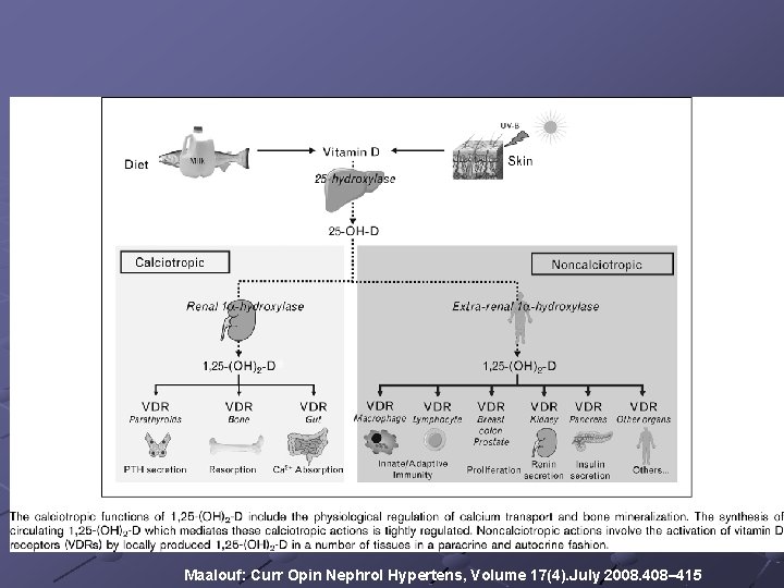 Maalouf: Curr Opin Nephrol Hypertens, Volume 17(4). July 2008. 408– 415 