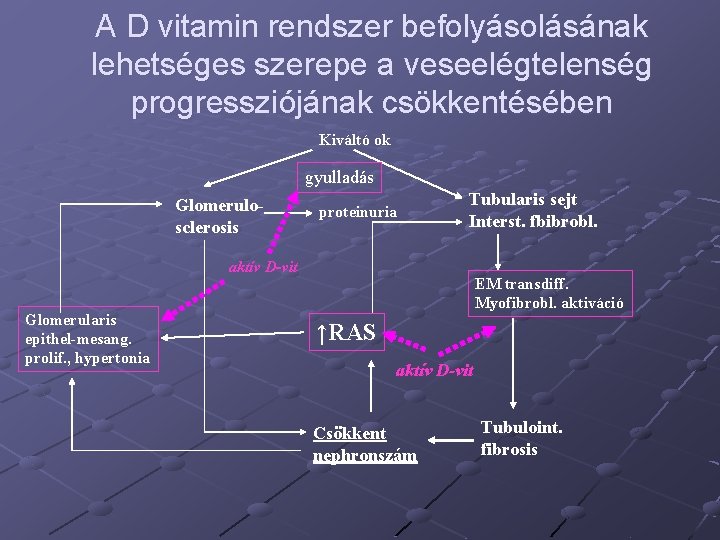 A D vitamin rendszer befolyásolásának lehetséges szerepe a veseelégtelenség progressziójának csökkentésében Kiváltó ok gyulladás