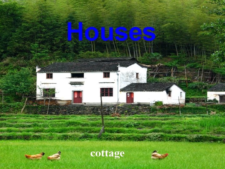 Houses cottage 