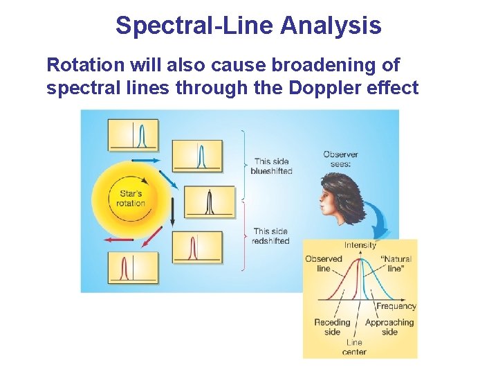 Spectral-Line Analysis Rotation will also cause broadening of spectral lines through the Doppler effect