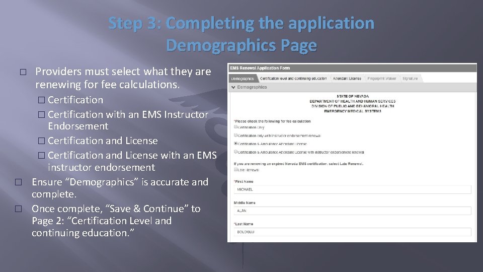 Step 3: Completing the application Demographics Page � Providers must select what they are