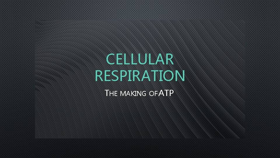 CELLULAR RESPIRATION THE MAKING OF ATP 