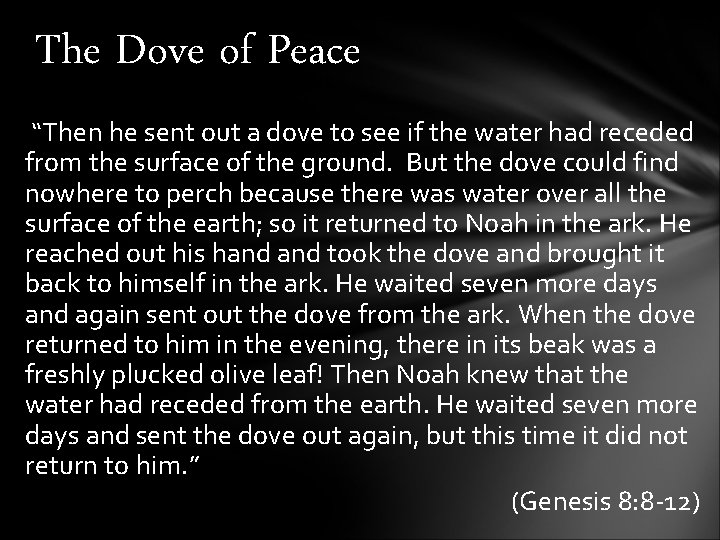 The Dove of Peace “Then he sent out a dove to see if the