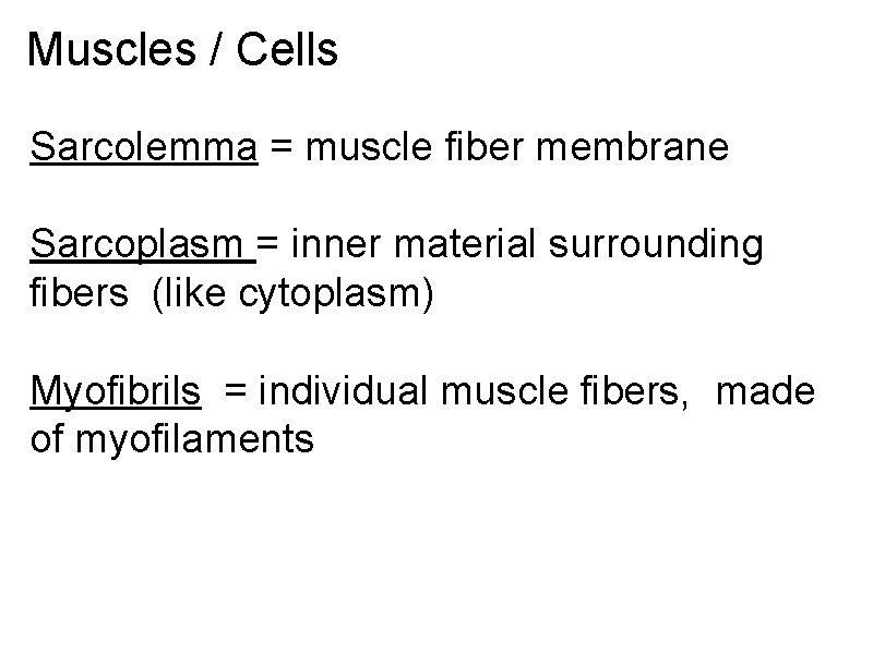 Muscles / Cells Sarcolemma = muscle fiber membrane Sarcoplasm = inner material surrounding fibers