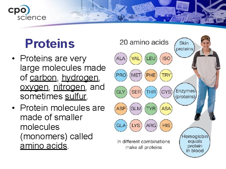 Carbon compounds and cells Life as we know