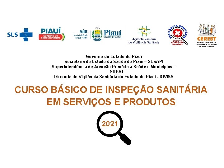 Governo do Estado do Piauí Secretaria de Estado da Saúde do Piauí – SESAPI
