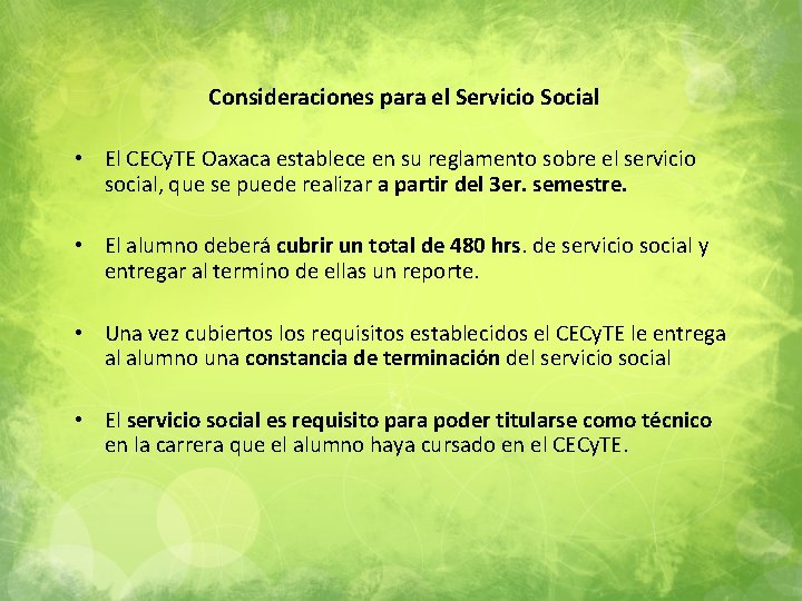 Consideraciones para el Servicio Social • El CECy. TE Oaxaca establece en su reglamento