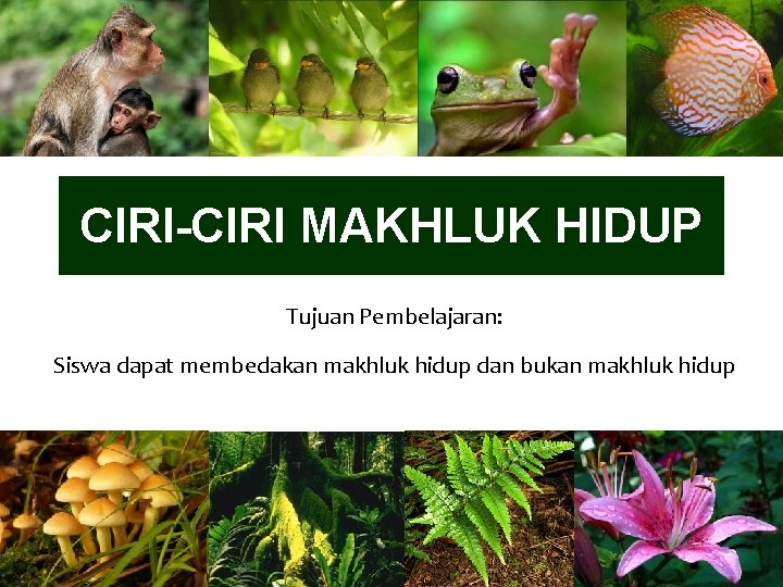 CIRI-CIRI MAKHLUK HIDUP Tujuan Pembelajaran: Siswa dapat membedakan makhluk hidup dan bukan makhluk hidup