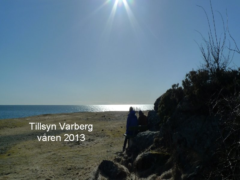 Tillsyn Varberg våren 2013 Tillsynsprocessen 